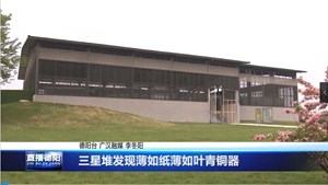 三星堆发现薄如纸薄如叶青铜器