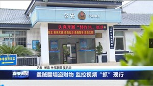 蟊贼翻墙盗财物 监控视频“抓”现行