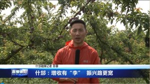 什邡：增收有“李”  振兴路更宽