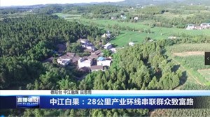 中江白果：28公里产业环线串联群众致富路