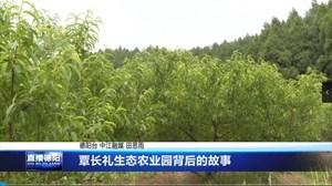 覃长礼生态农业园背后的故事