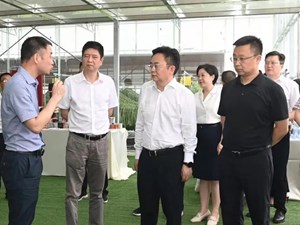 推动学习宣传贯彻工作走深走实 确保中央和省委决策部署在德阳全面落地见效
