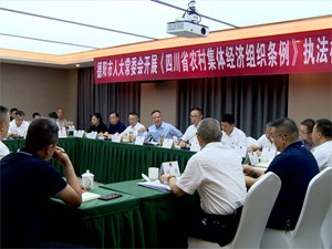 市人大常委会开展《四川省农村集体经济组织条例》执法检查