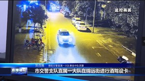 “无证男”遇检冲卡 连撞两车后弃车逃跑
