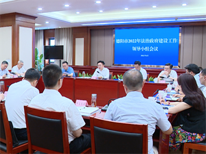 深入学习贯彻习近平法治思想 纵深推进法治政府建设