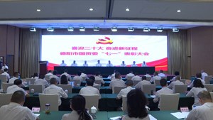 德阳市国资委系统召开“七一”表彰大会