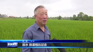 罗江：推进高标准农田建设 夯实农业生产基础