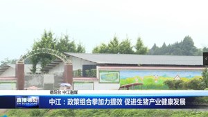 中江：政策组合拳加力提效 促进生猪产业健康发展