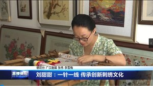 刘甜甜：一针一线 传承创新刺绣文化