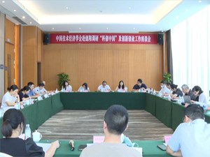 中国技术经济学会来德阳调研