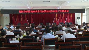 市政协委员视察我市民族团结进步创建工作