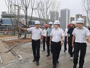 保质保量保安全 有力有序有效推进项目建设