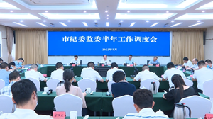 市纪委监委召开半年工作调度会