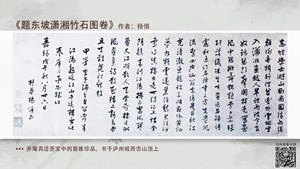 【四川书画地图·知识闪卡】泸州篇｜《题东坡潇湘竹石图卷》：杨慎真迹墨宝中的首推珍品