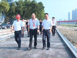 加快推进项目建设 切实加强环境综合治理