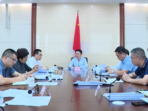 市政府召开党组（扩大）会议