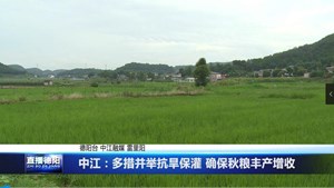 中江：多措并举抗旱保灌 确保秋粮丰产增收