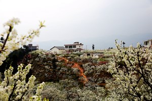 【我在乡村看见中国⑩】水潦彝族乡：赤水河历史变迁的见证者