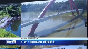 广汉：数字赋能政务服务 打造“家门口一站式”服务