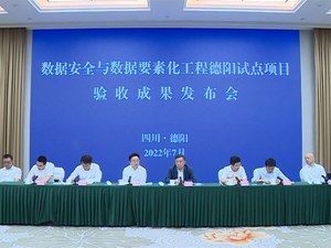 数据安全与数据要素化工程德阳试点项目通过验收