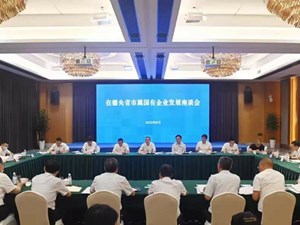 保持战略定力 坚定发展信心 全力推动国有企业做强做优做大