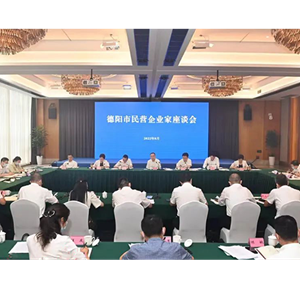 凝聚共识 提振信心 推动民营经济实现更快更好发展