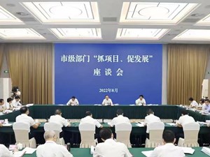凝心聚力抓项目 全力以赴促发展 努力完成全年经济社会发展目标任务