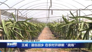 王威：退伍回乡 在农村开辟新“战场”