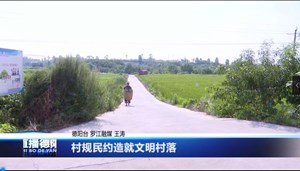 村规民约造就文明村落