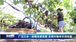 广汉三水：统筹改革发展 实现村集体农民双赢