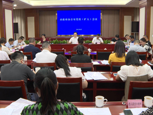 市政府办公室：凝聚智慧力量 拼出质量效率