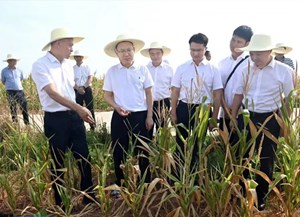 坚持防汛抗旱两手抓两手硬 全力保障人民群众生命财产安全