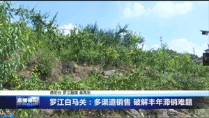 罗江白马关：多渠道销售 破解丰年滞销难题