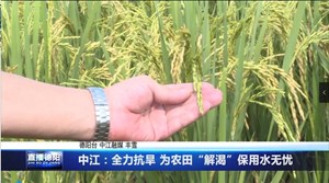 中江：全力抗旱 为农田“解渴”保用水无忧