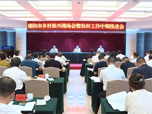 全市乡村振兴现场会暨农村工作中期推进会召开