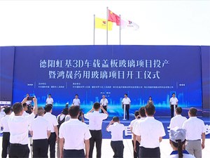 德阳虹基显示新材料项目投产暨鸿晟医药新材料项目开工仪式在罗江举行