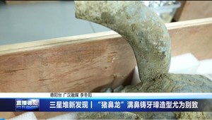 三星堆新发现丨“猪鼻龙”满鼻铸牙璋造型尤为别致
