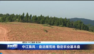 中江集凤：盘活撂荒地 稳定农业基本盘