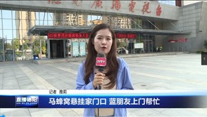 马蜂窝悬挂家门口 蓝朋友上门帮忙