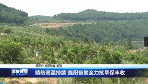 晴热高温持续 旌阳各地全力抗旱保丰收
