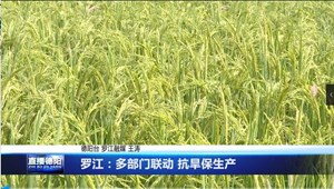 罗江：多部门联动 抗旱保生产