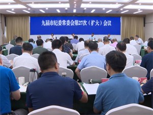 市纪委召开常委会（扩大）会议