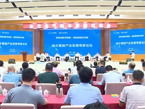 东方电气抽水蓄能交流会在德阳举行