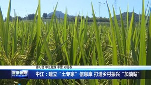 中江：建立“土专家”信息库 打造乡村振兴“加油站”