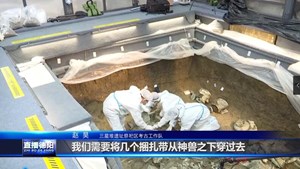 三星堆新发现：8号坑提取大型立人青铜神兽