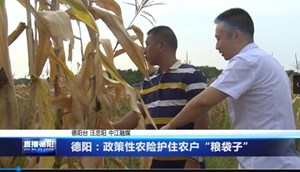 德阳：政策性农险护住农户“粮袋子”