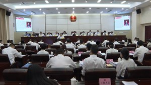 市九届人大常委会举行第六次会议