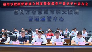 德阳市数据要素核心制度暨数据资产登记平台正式发布