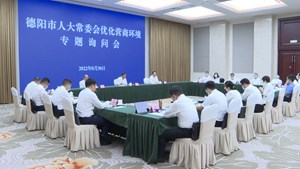 市人大常委会举行优化营商环境专题询问会