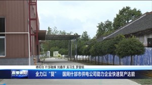 全力以“复”   国网什邡市供电公司助力企业快速复产达能